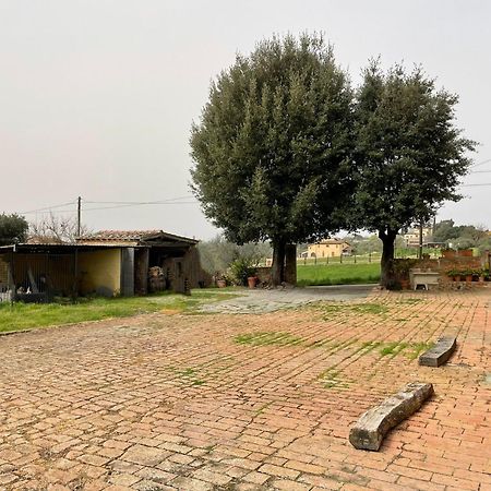 Podere Piazza Siena Exterior foto